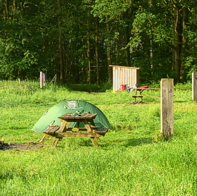 Paalkamperen Het Vinne - Zoutleeuw, foto 3